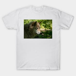 Grey Wolf T-Shirt